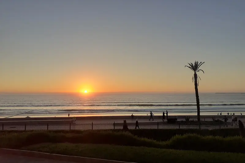 Sun setting over the Atlantic seen from the Agadir seafront with a palm tree